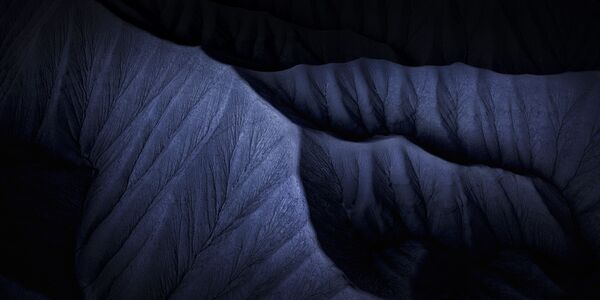 صورة بعنوان التقارب في الظلام، للمصور الفرنسي أرماند سارلانغ، الذي دخل ضمن قائمة توب 50 صورة من الطبيعة المفتوحة/ المناظر الطبيعية في مسابقة جائزة إبسون بانو للتصوير البنورامي الدولية - سبوتنيك عربي