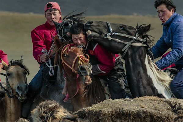 صورة بعنوان مسابقة كوك-بورو في قيرغيزستان، للمصور الإيطالي ستيفانو بنسوتي، التي فازت بالمركز الأول في فئة الحدث/ حدث تنافسي للمصورين المحترفين في مسابقة جوائز التصوير الدولية 2020 - سبوتنيك عربي