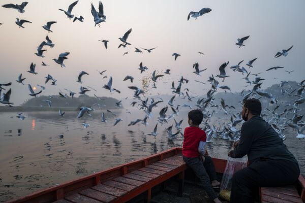 أب وابنه يطعمان طيور النورس بالقرب من ضفاف نهر يامونا خلال صباح مليء بالضباب الدخاني في نيودلهي، الهند، 29 أكتوبر 2020. - سبوتنيك عربي