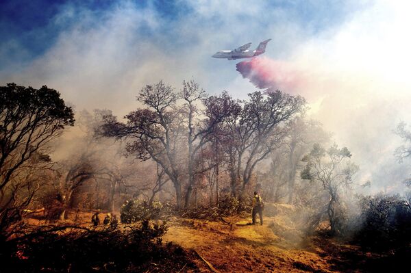 طائرة تطفيء حريق أوليندا في أندرسون، ولاية كاليفورنيا 25 أكتوبر 2020 - سبوتنيك عربي