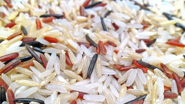أرز - سبوتنيك عربي