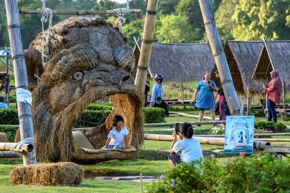  زوار يلتقطون صورا بجوار منحوتات للحيوانات صنعت بالكامل من  قش الأرز في حديقة ترفيهية المطلة على بحيرة هواي توينغ تاو، بالقرب من مدينة تشيانغمى، تايلاند 1 نوفمبر 2020 - سبوتنيك عربي