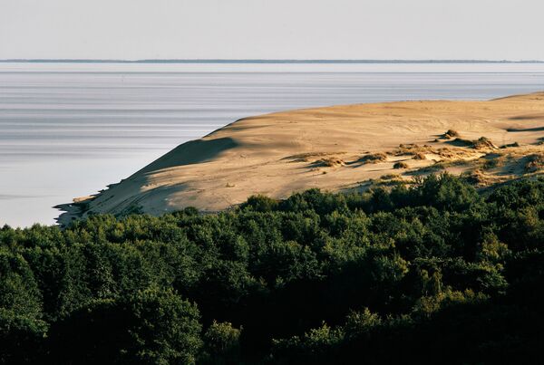 منظر للكثبان الرملية من مرتفعات إيفا في حديقة كورشسكايا كوسا (برزخ قورش) الوطنية في منطقة كالينينغراد الروسية - سبوتنيك عربي