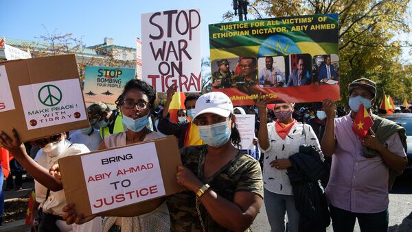 مظاهرات في واشنطن ضد العمليات العسكرية في تيغراي - سبوتنيك عربي