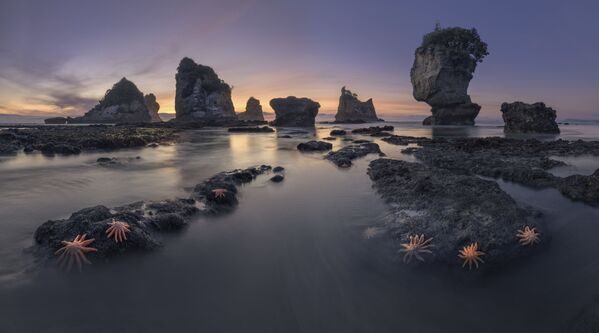 صورة بعنوان ساحل نيوزيلندا، للمصور الروسي ناتي سيرغي أليشتشينكو، الذي دخل ضمن ترشيحات أفضل صور نوب 101 من المسابقة الدولية لمصور المناظر الطبيعية لعام 2020 - سبوتنيك عربي