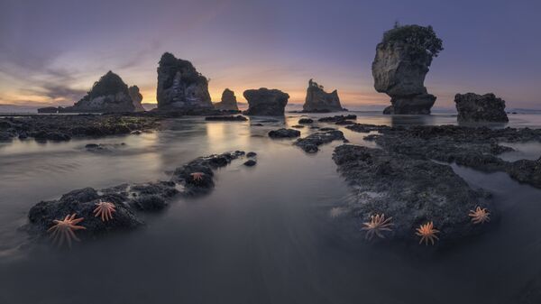 صورة بعنوان ساحل نيوزيلندا، للمصور الروسي ناتي سيرغي أليشتشينكو، الذي دخل ضمن ترشيحات أفضل صور نوب 101 من المسابقة الدولية لمصور المناظر الطبيعية لعام 2020 - سبوتنيك عربي