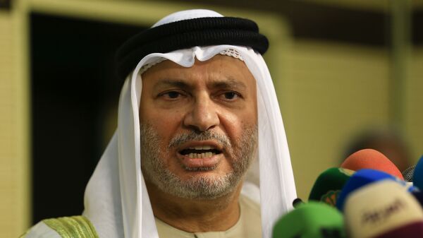 وزير الدولة الإماراتي للشؤون الخارجية، أنور قرقاش - سبوتنيك عربي