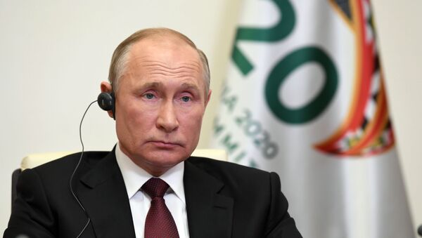 بوتين في قمة العشرين - سبوتنيك عربي