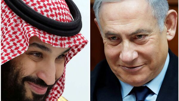 ولي العهد السعودي الأمير محمد بن سلمان مع رئيس الوزراء الإسرائيلي بنيامين نتنياهو - سبوتنيك عربي