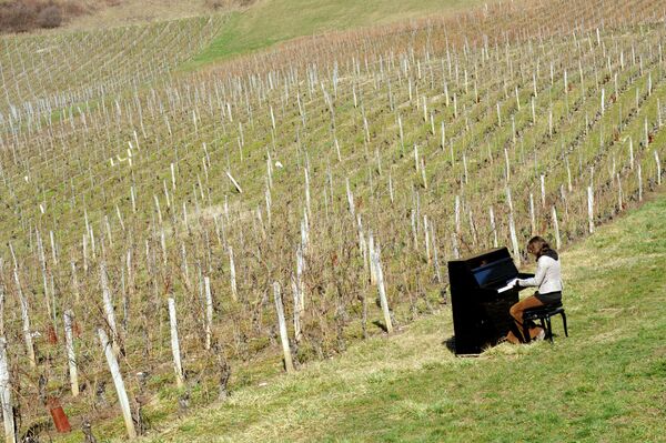 شاب فرنسي يعزف على البيانو في مزارع الكروم في سان جان دي لا بورتي، 12 مارس 2010، في رحلة طولها 6500 كلم عبر خمسة عشر دولة، بهدف عزف الموسيقى في مكان غير متوقع - سبوتنيك عربي