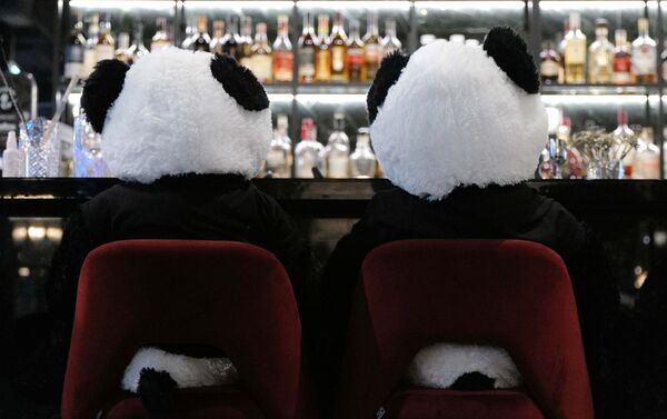 Игрушечные панды в ресторане Pino's в рамках инсталляции во Франкфурте  - سبوتنيك عربي