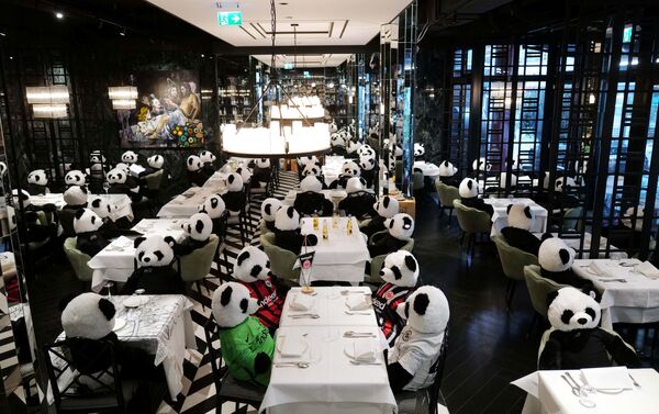 مطعم إيطالي «بينوس» يستخدم ألعاب دب الباندا بدلا من زبائنها، لنشر الوعي حول تأثير الأغلاق العام على ا مطاعم ومقاهي ألمانيا بسبب وباء كورونا، فرانكفورت، 24 نوفمبر 2020 - سبوتنيك عربي
