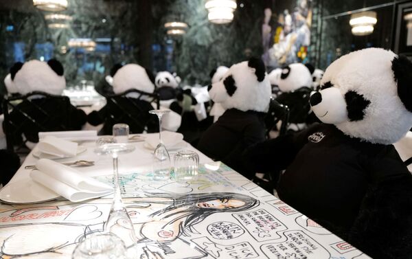 مطعم إيطالي «بينوس» يستخدم ألعاب دب الباندا بدلا من زبائنها، لنشر الوعي حول تأثير الأغلاق العام على ا مطاعم ومقاهي ألمانيا بسبب وباء كورونا، فرانكفورت، 24 نوفمبر 2020 - سبوتنيك عربي