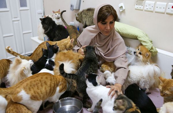  العُمانية مريم البلوشي تطعم حيواناتها الأليفة في منزلها في مسقط، سلطنة عُمان 20 نوفمبر 2020 - سبوتنيك عربي