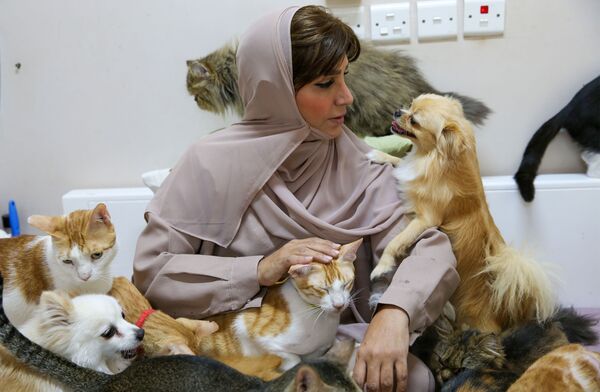  العُمانية مريم البلوشي تطعم حيواناتها الأليفة في منزلها في مسقط، سلطنة عُمان 20 نوفمبر 2020 - سبوتنيك عربي