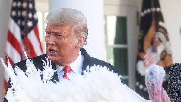 الرئيس الأمريكي، دونالد ترامب، في الحفل الـ73 للعفو عن ديك عيد الشكر في البيت الأبيض، 24 نوفمبر/ تشرين الثاني 2020، واشنطن، الولايات المتحدة  - سبوتنيك عربي