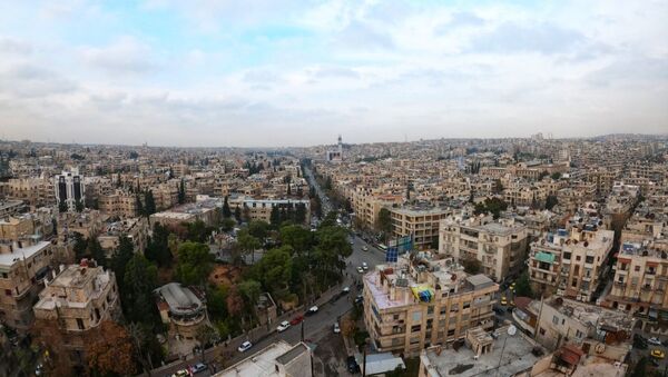 محافظة حلب - سبوتنيك عربي