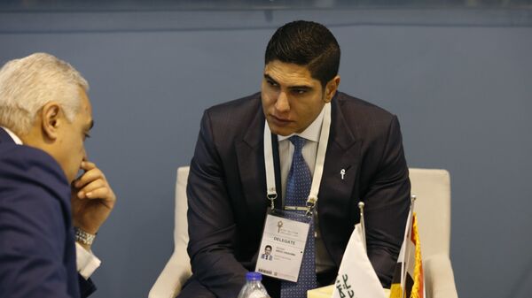  أحمد أبو هشيمة رجل الأعمال المصري عضو مجلس الشيوخ - سبوتنيك عربي