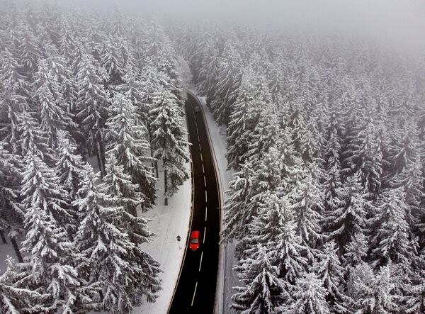 سيارة تسير بين الأشجار المغطاة بالثلوج في منطقة تاونوس بالقرب من فرانكفورت، ألمانيا، 8 ديسمبر 2020 - سبوتنيك عربي