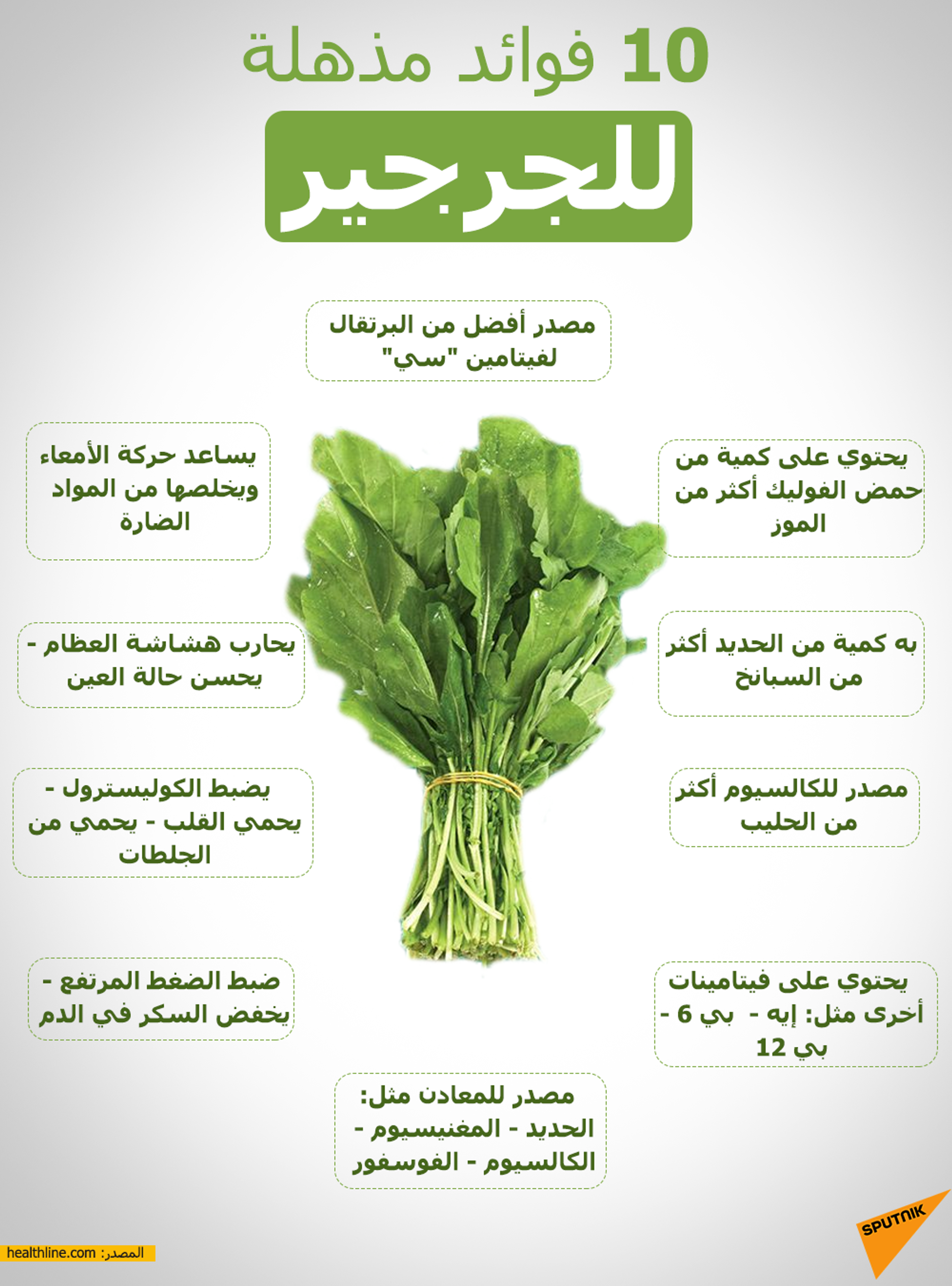 أقوى الخضروات... البروكلي يحمي من مرض خطير ويحسن الصحة العامة للإنسان - سبوتنيك عربي, 1920, 11.07.2021
