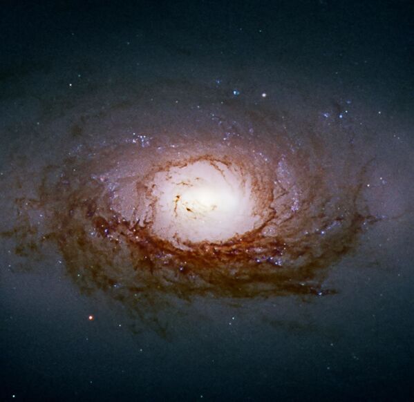مجرة إن جي سي 3626 في كوكبة الأسد - سبوتنيك عربي
