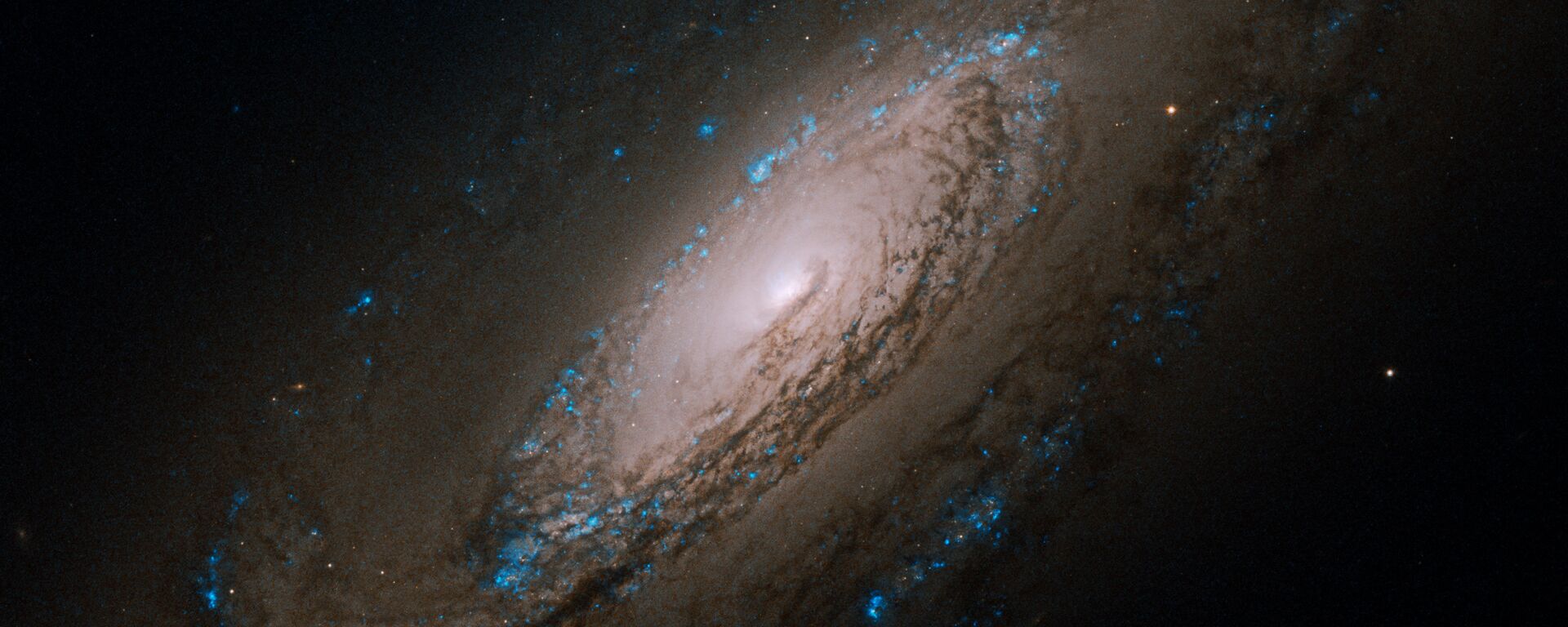 المجرة إن جي سي 5005 (أو كالدويل 29) في كوكبة كلاب الصيد - سبوتنيك عربي, 1920, 16.08.2021
