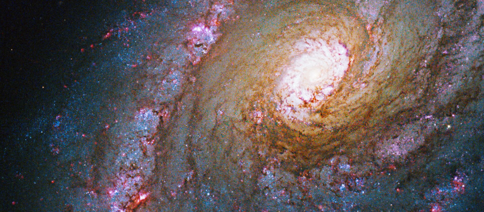 كالدويل 45، أو إن جي إس 5248، عبارة عن مجرة حلزونية تقع في كوكبة العواء، وتشتهر ببنية الحلقة حول نواتها. - سبوتنيك عربي, 1920, 08.07.2021