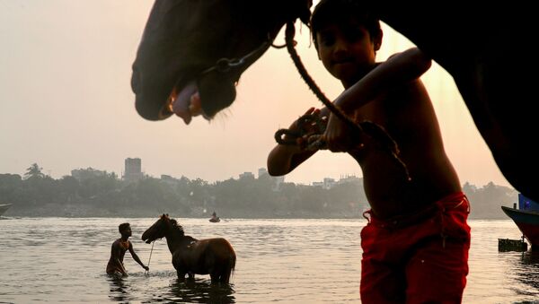 رجل يقوم بغسل حصان في نهر بوريغانغا في دكا، بنغلاديش، 15 ديسمبر 2020 - سبوتنيك عربي