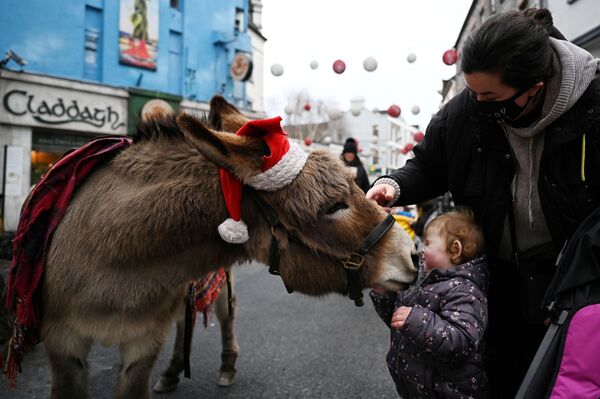 صوفيا فوكس، البالغة من العمر عامين، مرتبكة بحمار يرتدي قبعة بابا نويل في أحد شوارع التسوق وسط انتشار جائحة فيروس كورونا في مدينة غالواي، أيرلندا 22 ديسمبر 2020 - سبوتنيك عربي