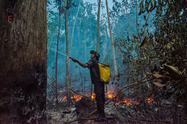 أحد أعضاء حراس الغابة يحارب الحرائق في منطقة محترقة من الغابة في ألتو ريو غواما، شرق بيليم، بارا، البرازيل 17 سبتمبر 2020 - سبوتنيك عربي