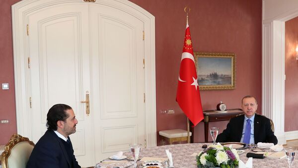 الرئيس التركي رجب طيب أردوغان، والرئيس المكلف بتشكيل الحكومة في لبنان، سعد الحريري في اسطنبول - سبوتنيك عربي