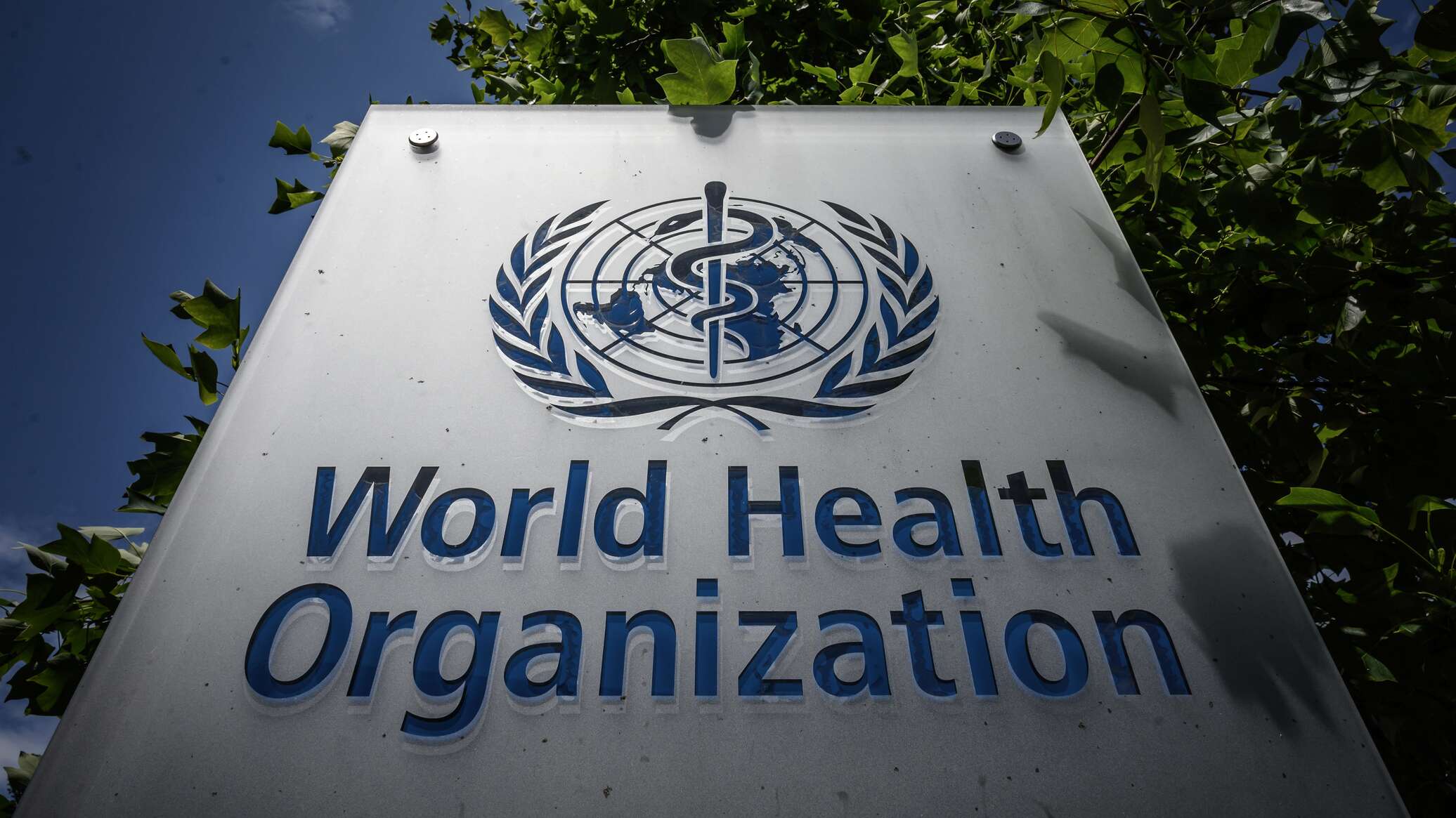 منظمة الصحة العالمية تنفي رؤية "حماس" تسيء استخدام المستشفيات في غزة
