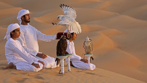 الإماراتي علي منصوري (الثاني من اليسار) يدرب صقاراً في صحراء ليوا، على بعد حوالي 250 كيلومترا غرب إمارة أبو ظبي الخليجية، 9 يناير 2021 - سبوتنيك عربي