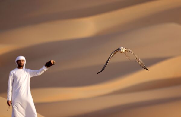 الإماراتي علي منصوري خلال تدريب الصقور في صحراء ليوا، على بعد حوالي 250 كيلومترا غرب إمارة أبو ظبي الخليجية، 9 يناير 2021 - سبوتنيك عربي