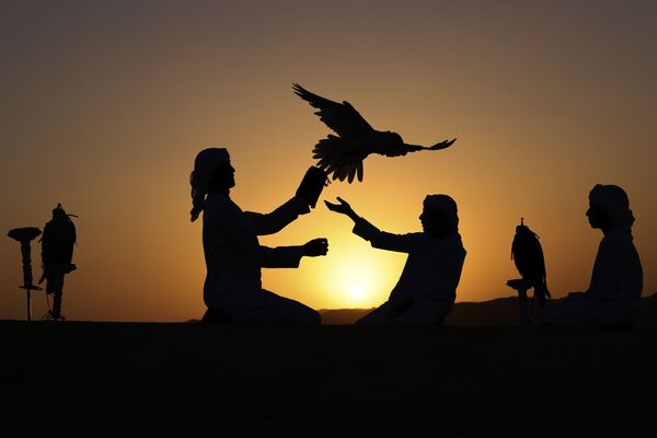 الإماراتي علي منصوري (الثاني من اليسار) يدرب صقاراً في صحراء ليوا، على بعد حوالي 250 كيلومترا غرب إمارة أبو ظبي الخليجية، 9 يناير 2021 - سبوتنيك عربي