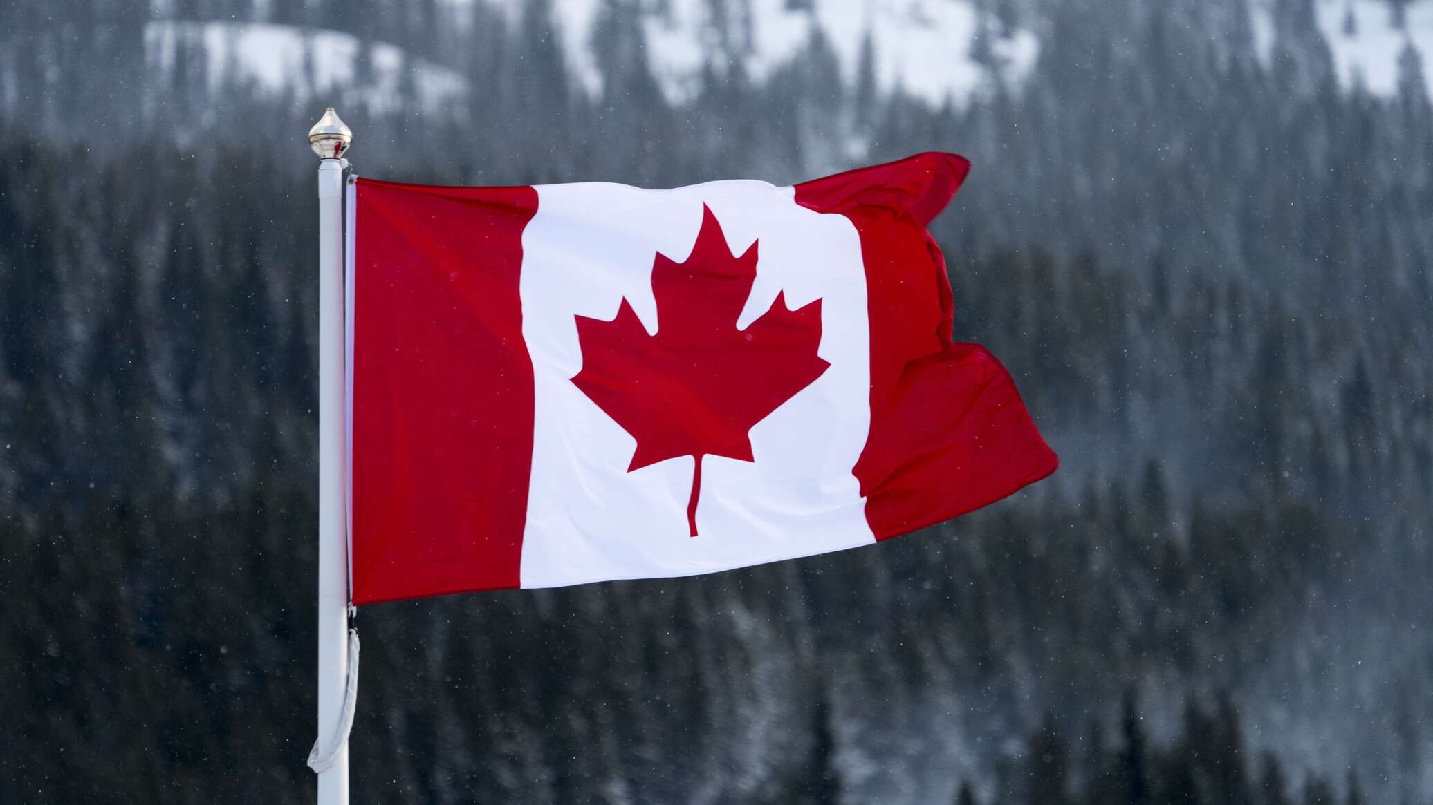 كندا تتطلع لتأمين الإفراج عن 19 امرأة وطفلا من رعاياها محتجزين في سوريا