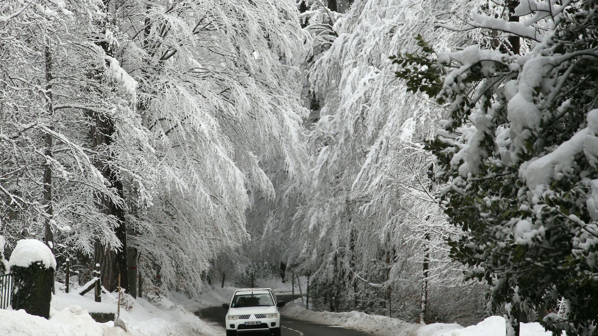سيارة تسير بالقرب من غابة فيزانوفا المغطاة بالثلوج في 11 يناير 2021 ، في جزيرة كورسيكا الفرنسية الواقعة على البحر المتوسط، بعد تساقط الثلوج بكثافة فوق جنوب أوروبا. - سبوتنيك عربي, 1920, 27.01.2022
