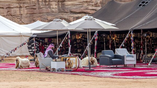ولي العهد السعودي، الأمير محمد بن سلمان بن عبدالعزيز، في جلسة حوار استراتيجية ضمن فعاليات المنتدى الاقتصادي العالمي - سبوتنيك عربي