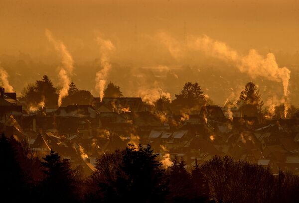 البخار يتصاعد من منازل مدينة كرونبرغ بالقرب من فرانكفورت بألمانيا مع بداية شروق الشمس خلال يوم بارد، 11 يناير 2021 - سبوتنيك عربي