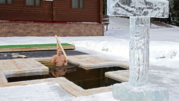 الرئيس الروسي فلاديمير بوتين يغطس في حفرة جليدية - سبوتنيك عربي
