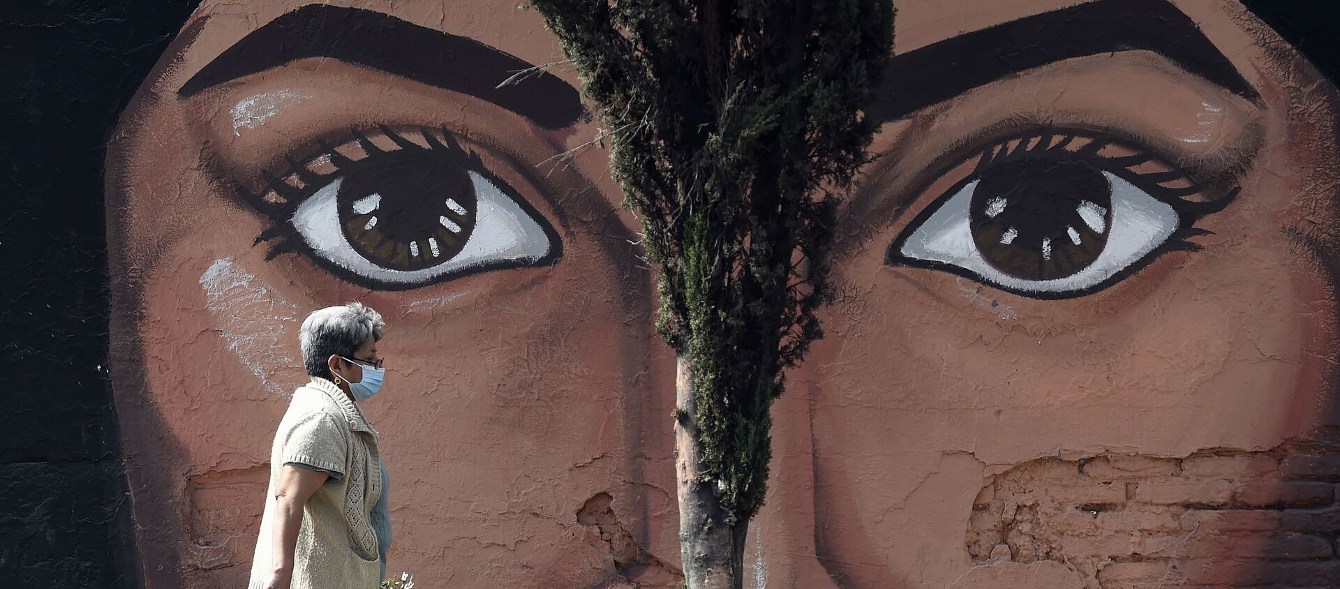امرأة ترتدي قناعًا للوجه تمشي بجوار لوحة جدارية على أحد جدران مقبرة سان نيكولاس تولينتينو في بلدية إيزتابالابا في مكسيكو سيتي في 15 يناير 2021، وسط جائحة فيروس كورونا الجديد كوفيد-19. - سبوتنيك عربي, 1920, 26.06.2021