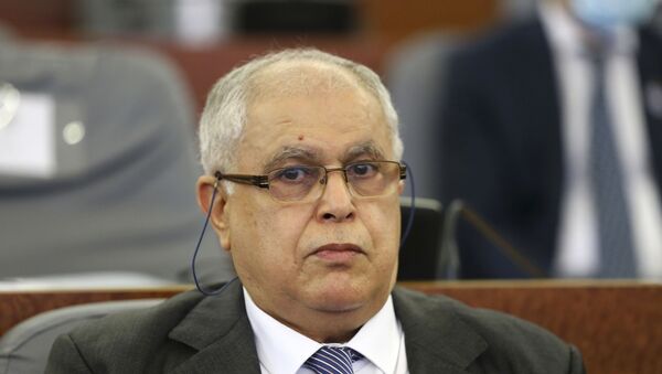 وزير الطاقة الجزائري عبد المجيد عطار - سبوتنيك عربي