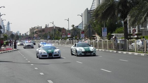 شرطة دبي - سبوتنيك عربي