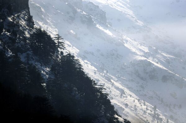 الجبال مغطاة في منطقة تنورين التحتا، لبنان 22 يناير2021 - سبوتنيك عربي