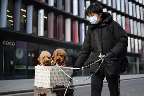 شابة تدفع عربة تحمل كلبيها خلال التسوق بالقرب من مبنى المحكمة أولد بايلي في مدينة لندن، إنجلترا 22 يناير 2021 - سبوتنيك عربي