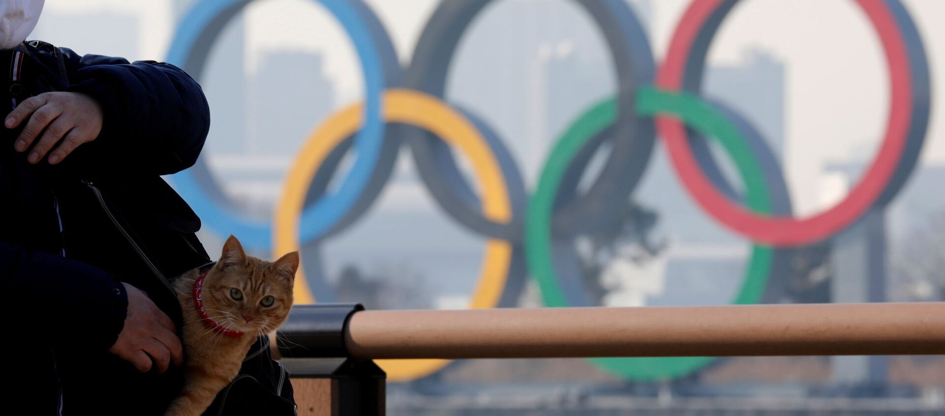رجل يحمل قطة في حقيبته يقف على خلفية الحلقات الأولمبية العملاقة وسط تفشي مرض فيروس كورونا (كوفيد-19) في طوكيو، اليابان، 22 يناير 2021 - سبوتنيك عربي, 1920, 09.02.2021