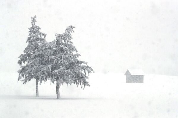 يغطي الثلج المناظر الطبيعية في مقاطعة جنوب تيرول الإيطالية الناطقة بالألمانية في راسون-أنترسيلفا، إيطاليا، 23 يناير 2021 - سبوتنيك عربي