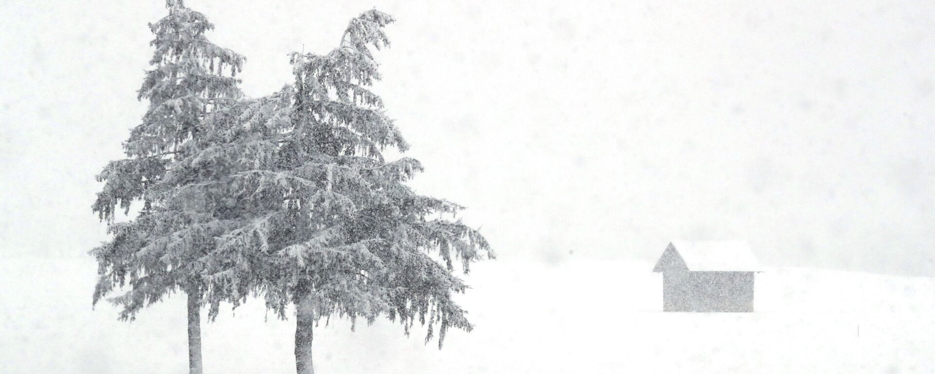 يغطي الثلج المناظر الطبيعية في مقاطعة جنوب تيرول الإيطالية الناطقة بالألمانية في راسون-أنترسيلفا، إيطاليا، 23 يناير 2021 - سبوتنيك عربي, 1920, 27.02.2022