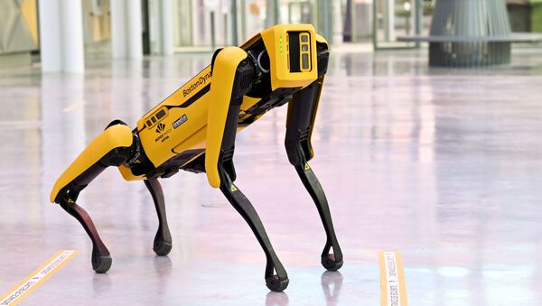الروبوت الكلب - سبوتنيك عربي