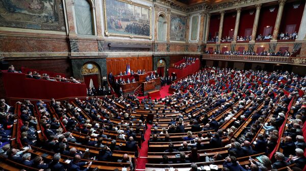 مجلس الشيوخ الفرنسي - سبوتنيك عربي